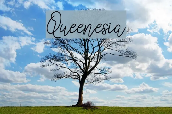Queenesia Example 2