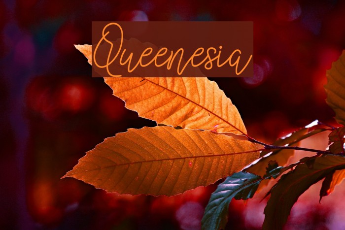 Queenesia Font examples
