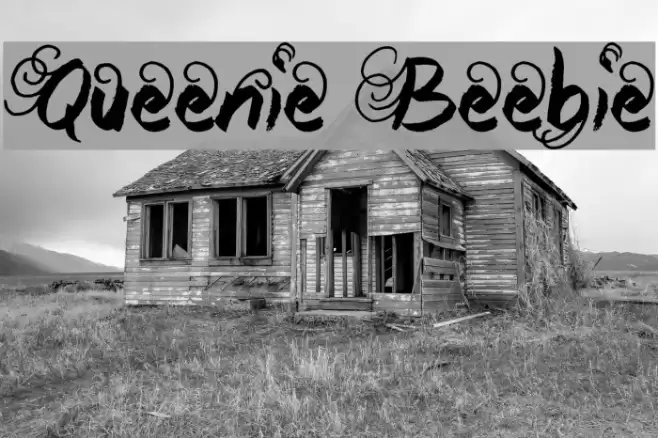 Queenie Beebie Font examples