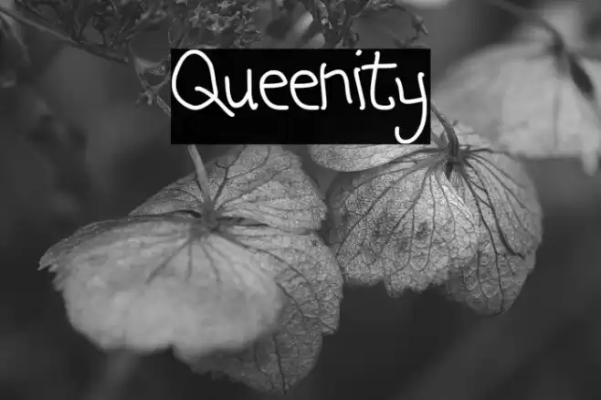 Queenity Font examples