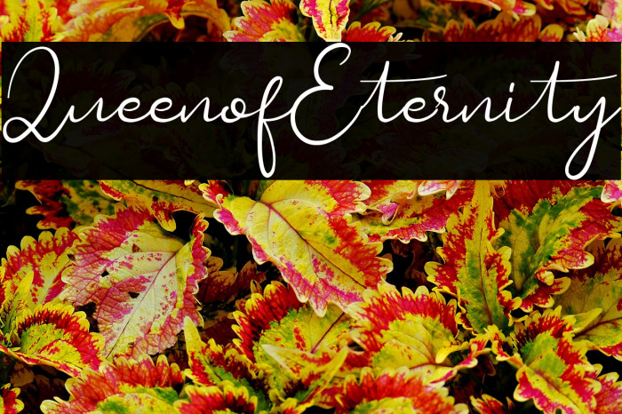 QueenofEternity Example 3