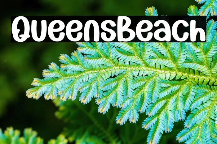 Queens Beach Example 3