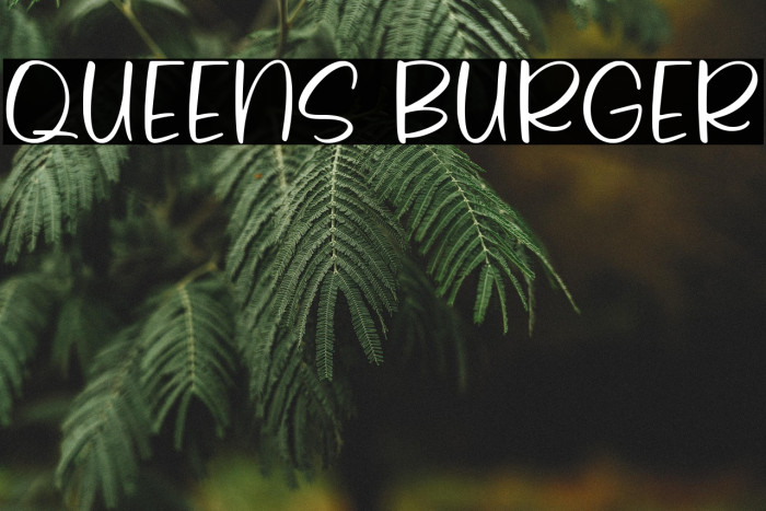 Queens Burger Example 2