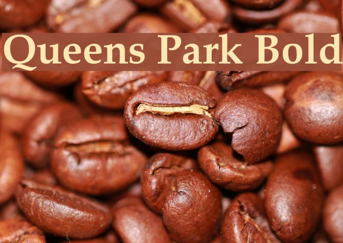 Queens Park Bold Font examples