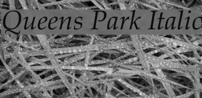 Queens Park Italic Font examples