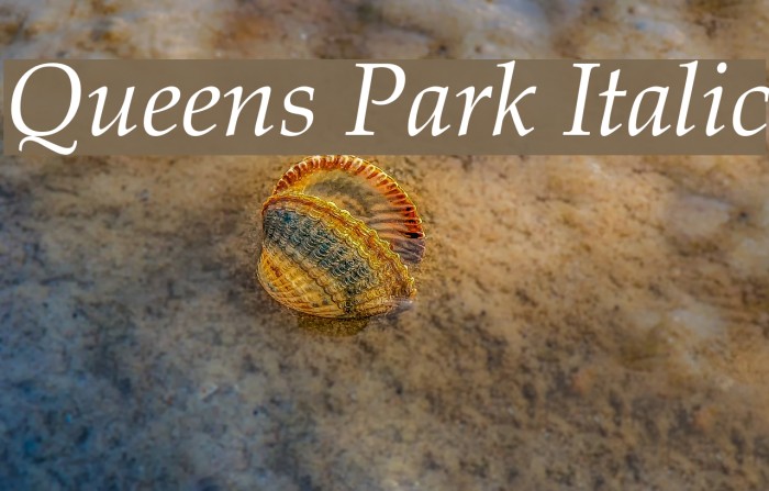 Queens Park Italic Font examples