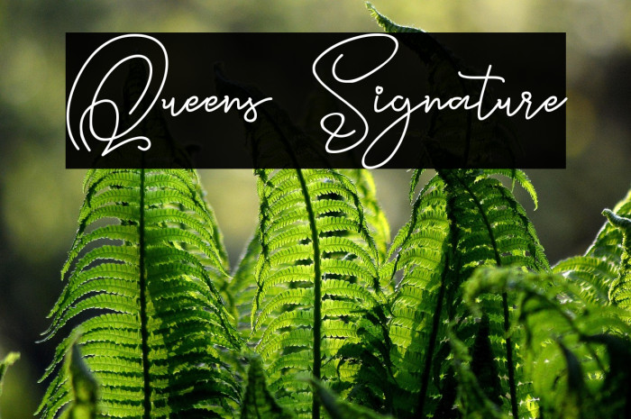 Queens Signature Example 3