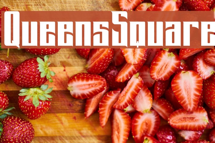 QueensSquare Font examples