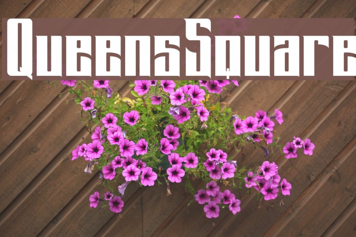 QueensSquare Font examples