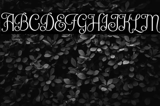 Queensby Font examples