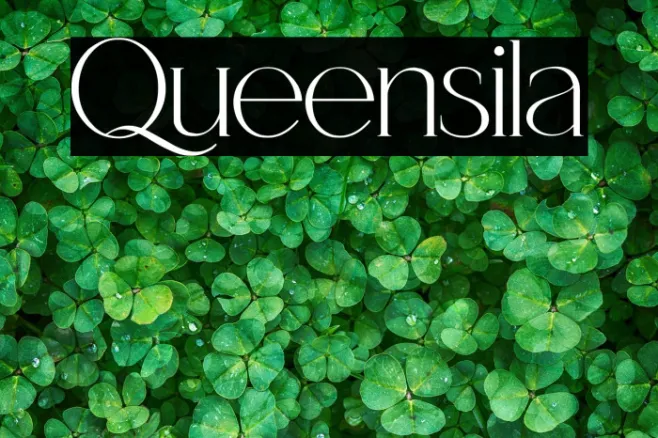 Queensila Example 2