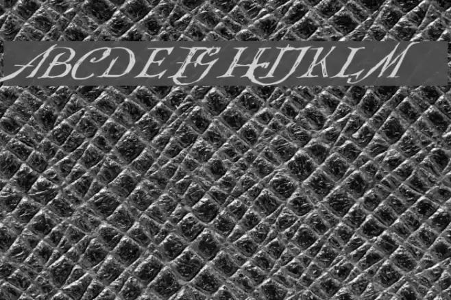 Queensland Шрифта examples