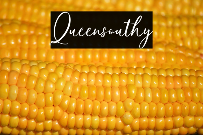 Queensouthy Example 3