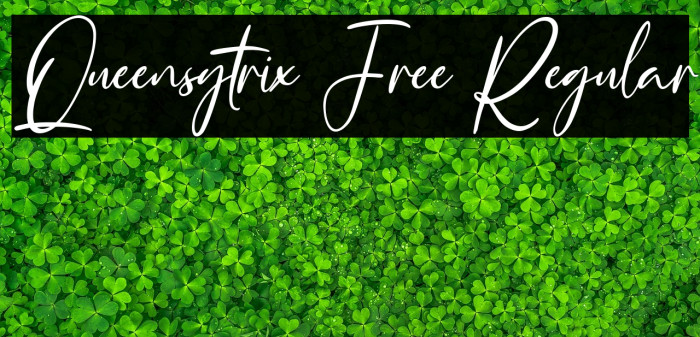 Queensytrix Free Regular Example 2