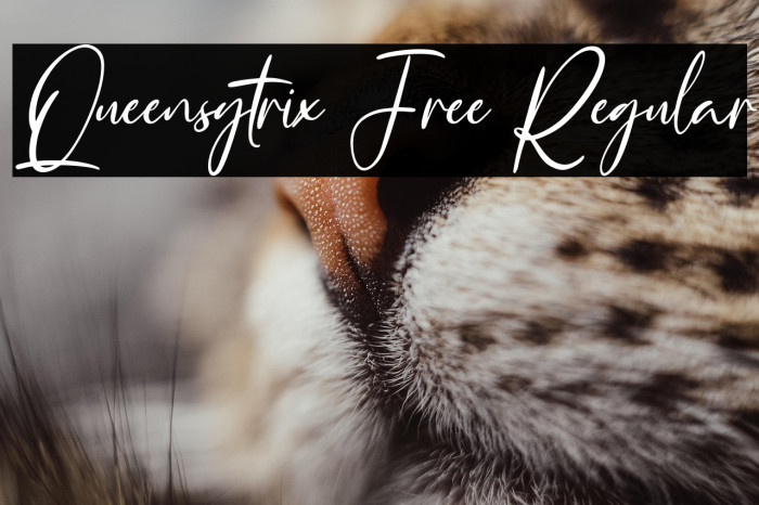 Queensytrix Free Regular Example 3