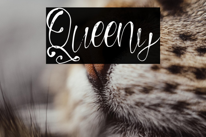 Queeny Example 3
