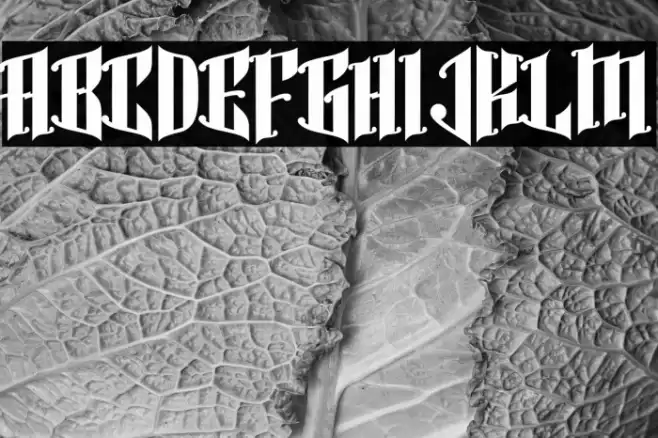 Queenzy Font examples