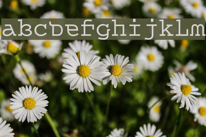 Queer Theory Font examples
