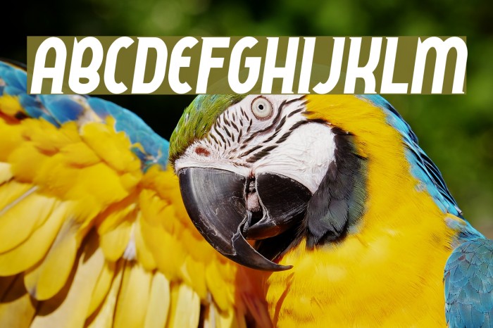 QueerStreet Font examples