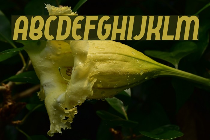 QueerStreet Font examples