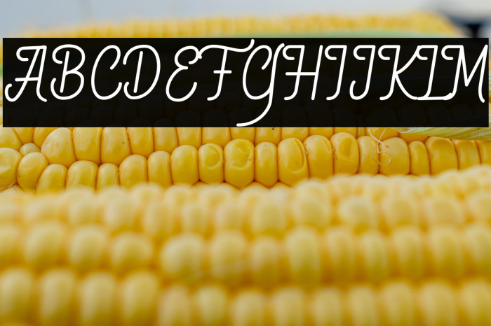 Quefira Regular Example 2