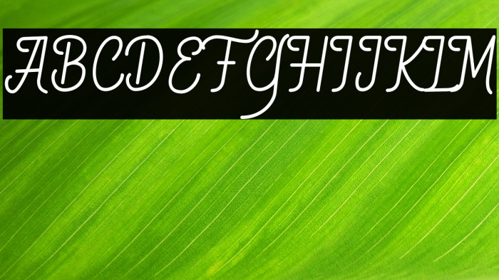 Quefira Regular Example 1