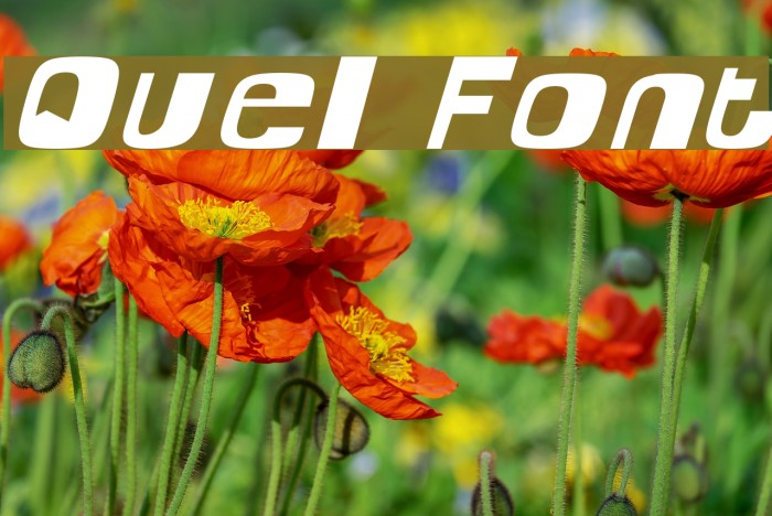 Quel Font examples