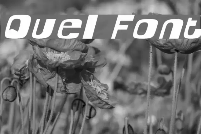Quel Font examples