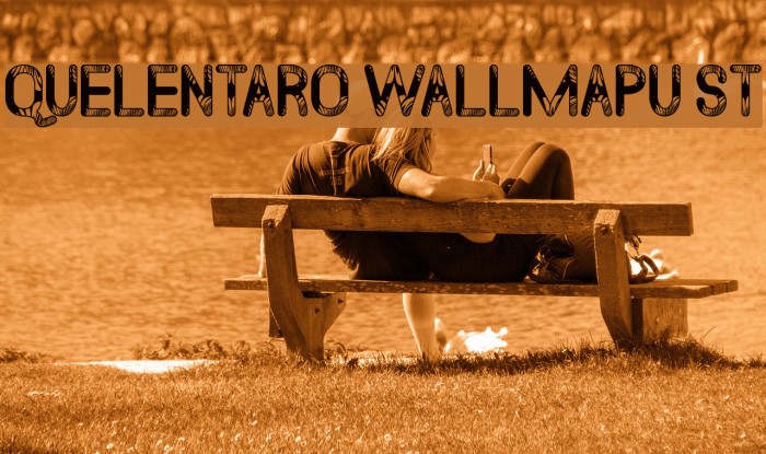 Quelentaro Wallmapu St Font examples