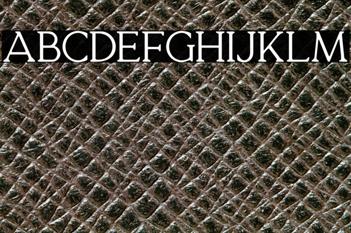 QuelityDEMO Example 3