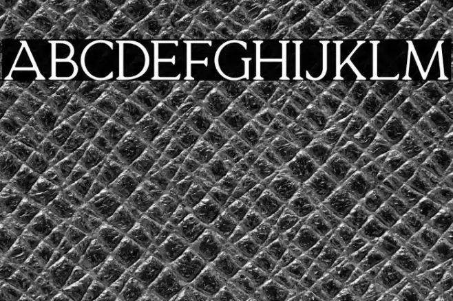 QuelityDEMO Font examples