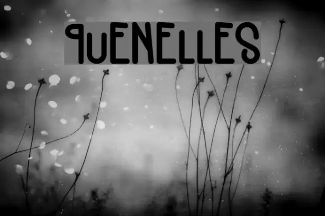 Quenelles Font examples