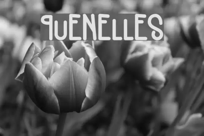 Quenelles Font examples