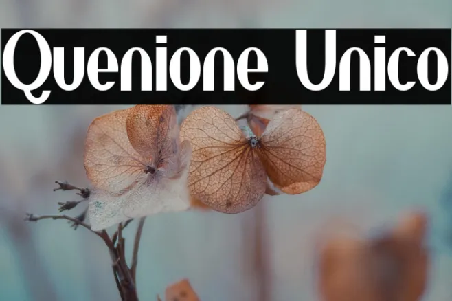 Quenione Unico Example 1