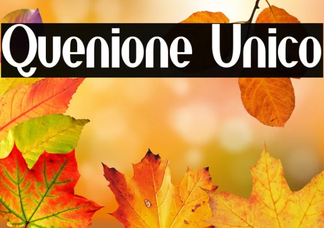 Quenione Unico Example 3