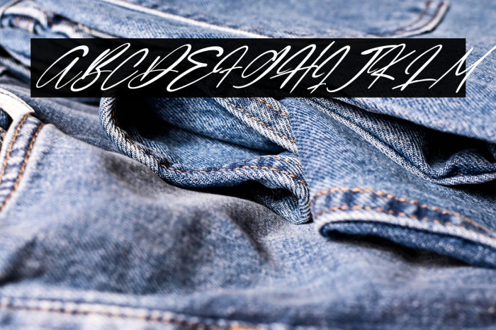 Quenisha Italic Example 2