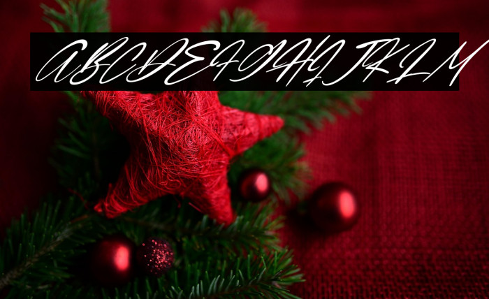 Quenisha Italic Example 3