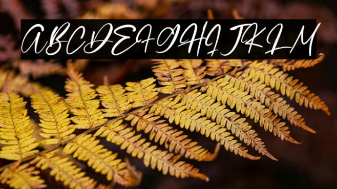 Quenisha Example 2