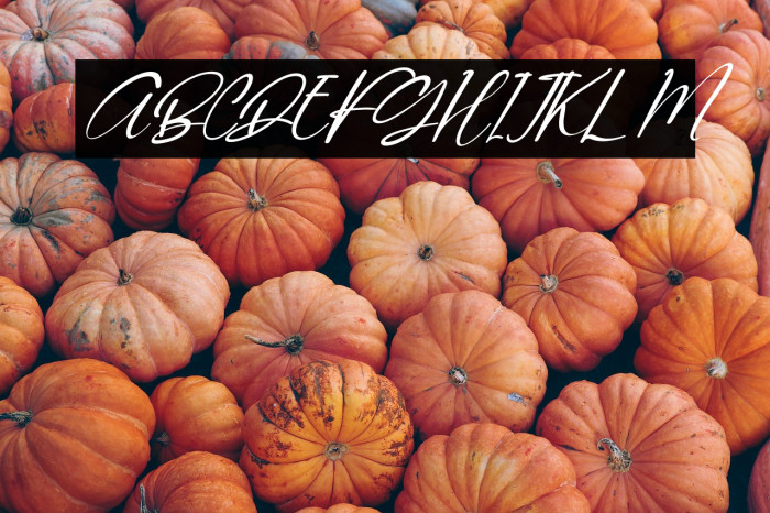 Quenitha Italic Example 2