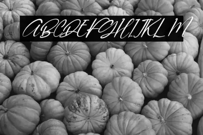 Quenitha Italic Font examples