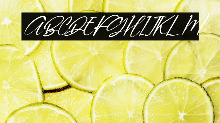 Quenitha Italic Example 3