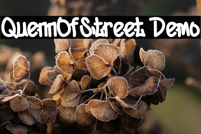 QuennOfStreet Demo Example 2