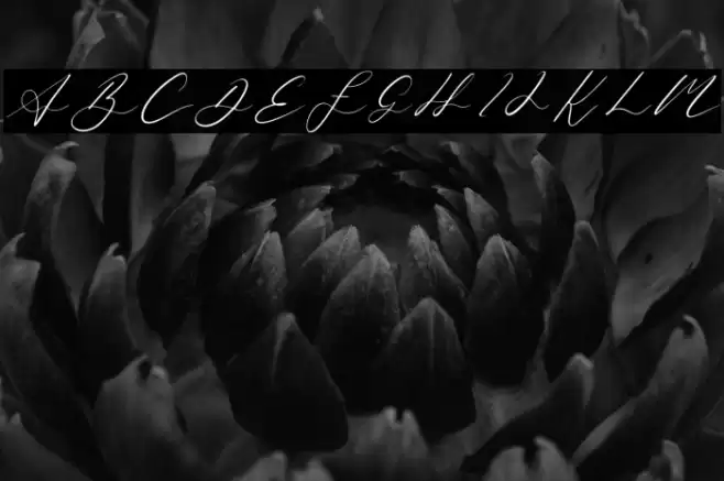 Quensialy Font examples