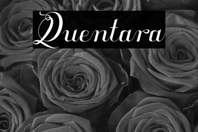 Quentara Font examples