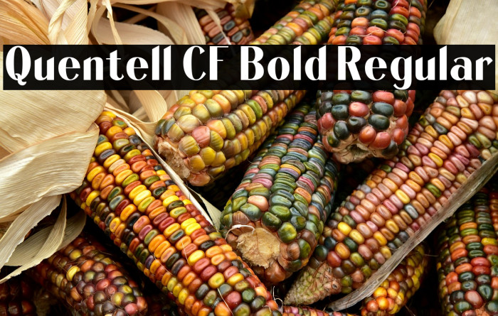 Quentell CF Bold Regular Example 1