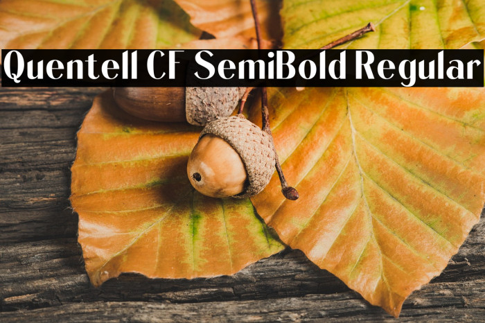 Quentell CF SemiBold Regular Example 2