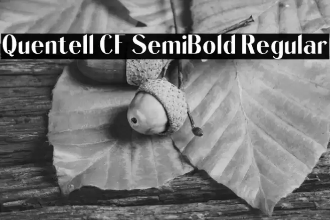 Quentell CF SemiBold Regular Font examples