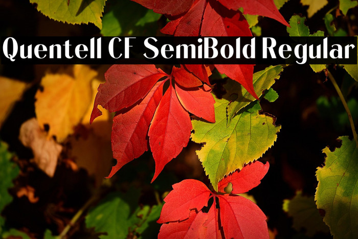 Quentell CF SemiBold Regular Example 3