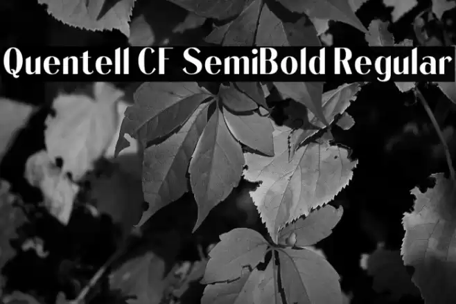 Quentell CF SemiBold Regular Font examples