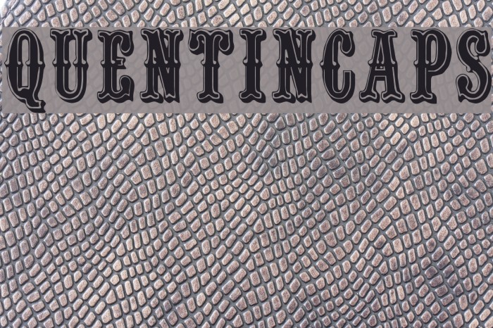 QuentinCaps Font examples